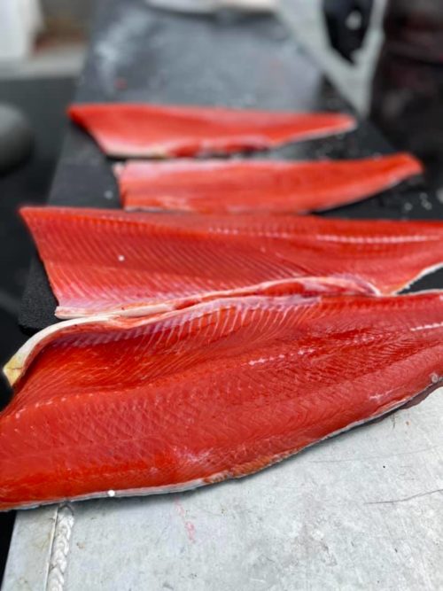 Togiak River, Alaska Fishing Report 2021 Fish Alaska Magazine