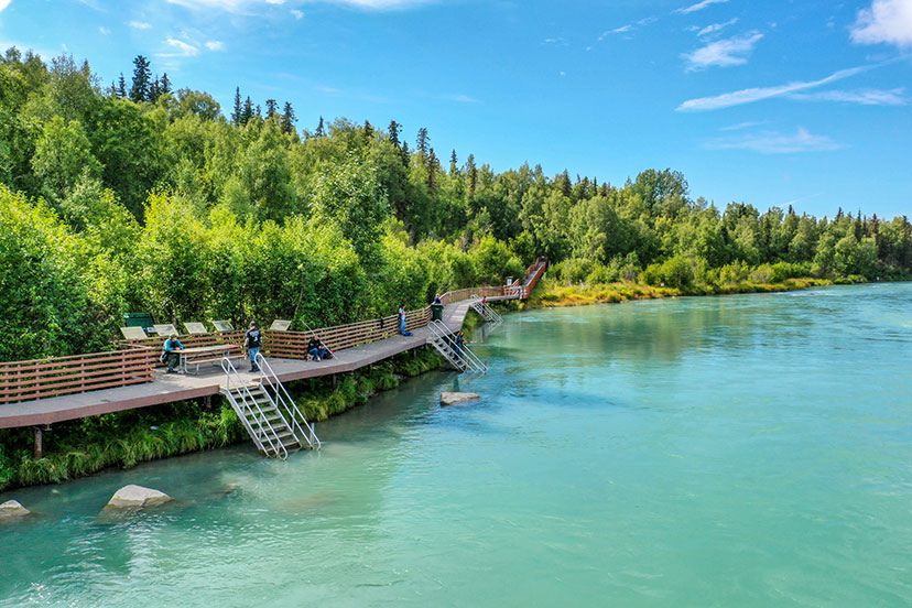 Kenai River silver fishing