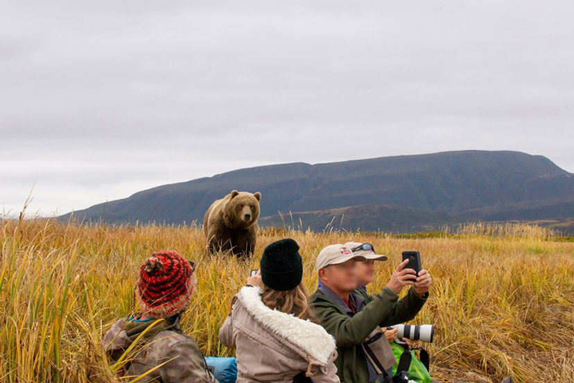 Grizzly Safaris