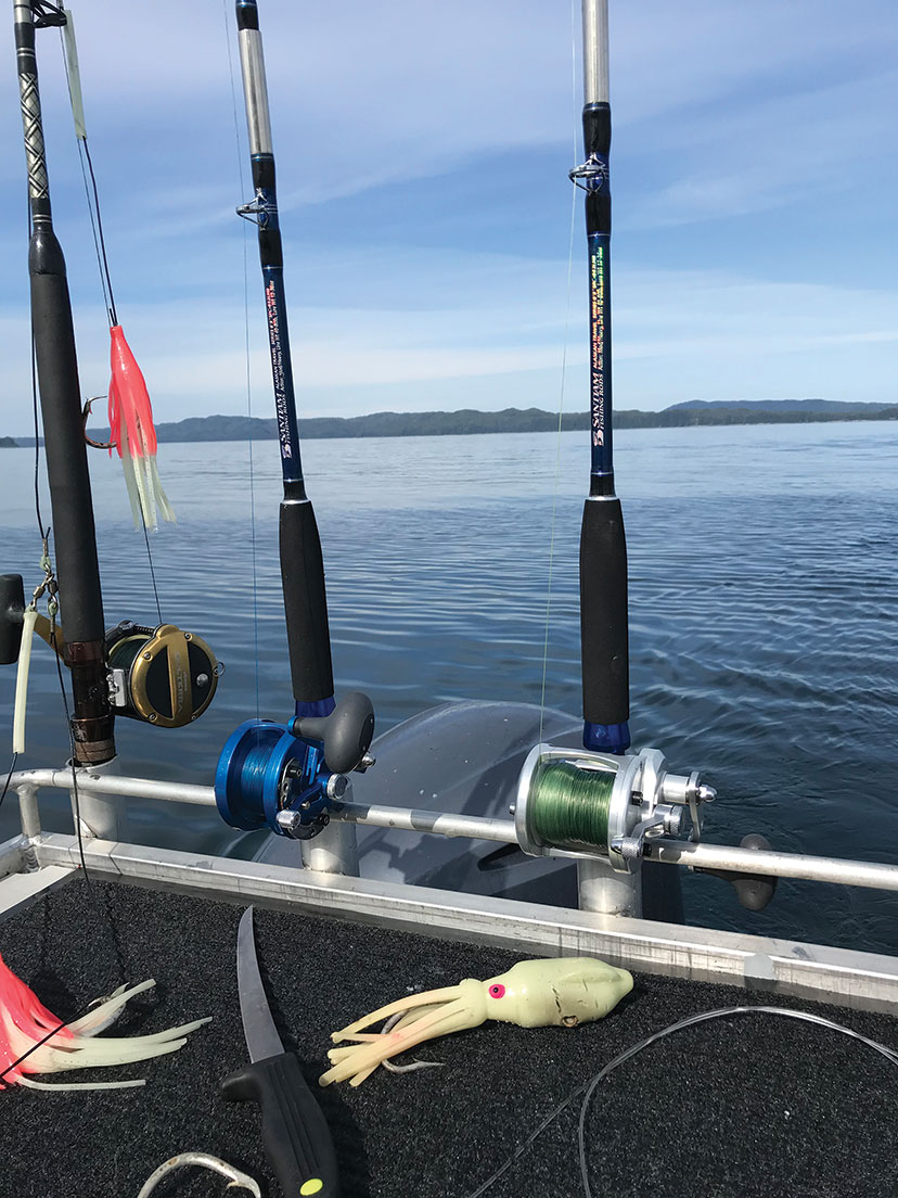 Saltwater Fishing Rod Jigging 2Piece Spinning Casting Portable Travel Jig  Pole