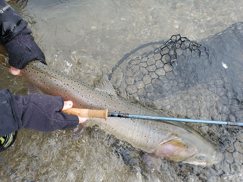 best fishing rods