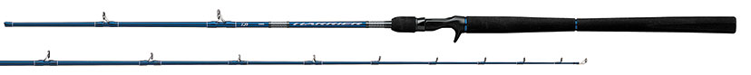Best Fishing Rods 