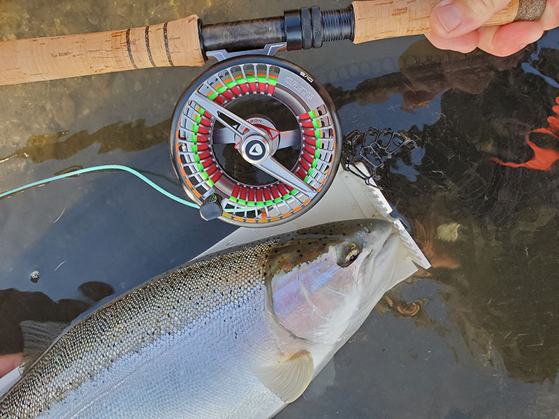 best fshing reels