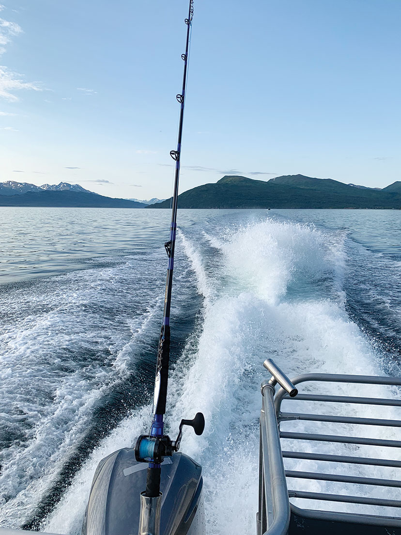 Best Fishing Rods 