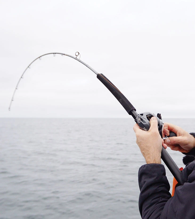 Downrigger fishing rod editorial image. Image of blue - 18434365