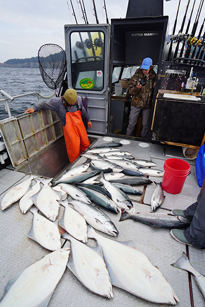 homer halibut