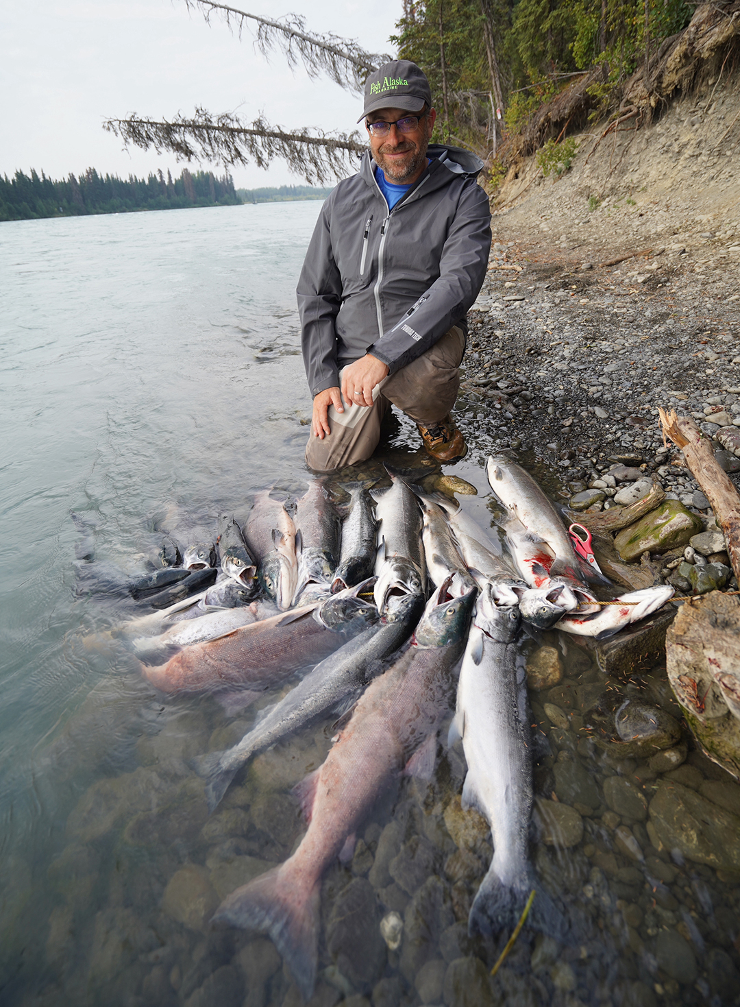 Alaska Salmon Season 2024 Dates Dora Nancee