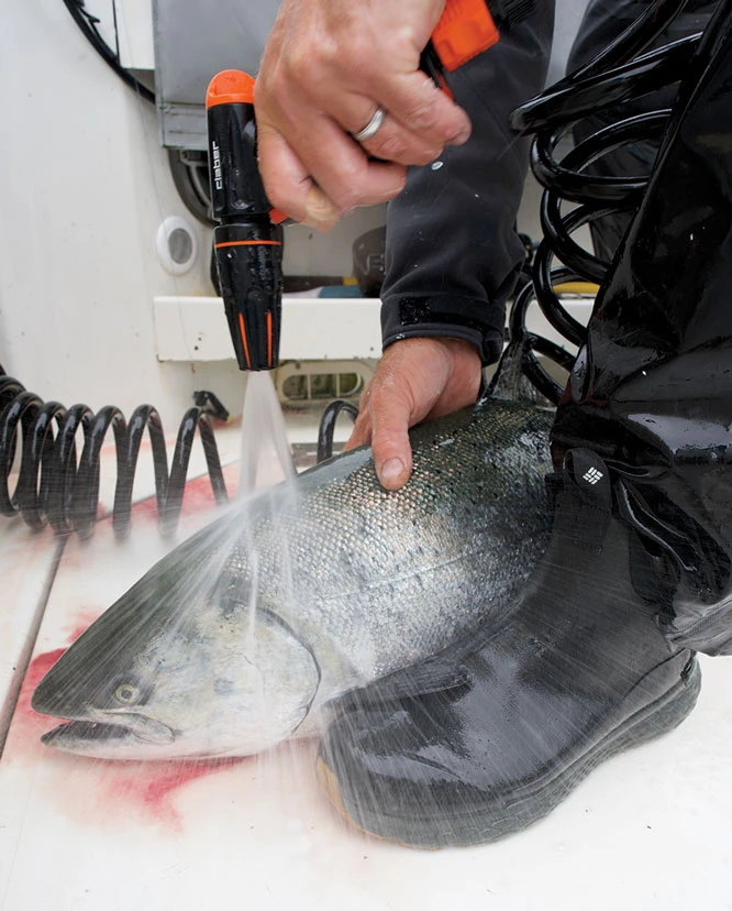Best Fishing Boots