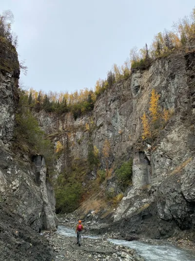 river restoration