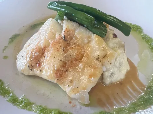 Kodiak fishing trips