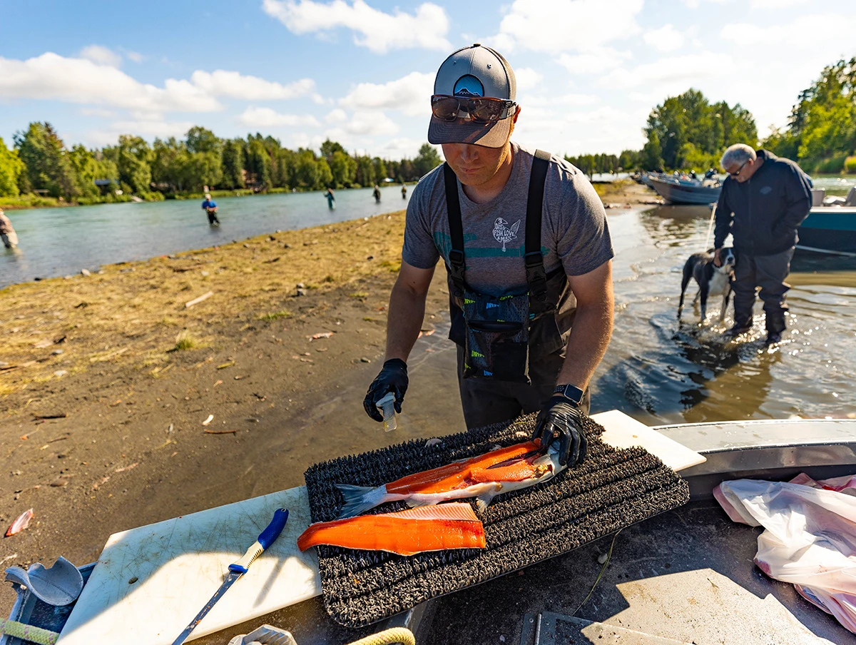 Kenai sockeye counts