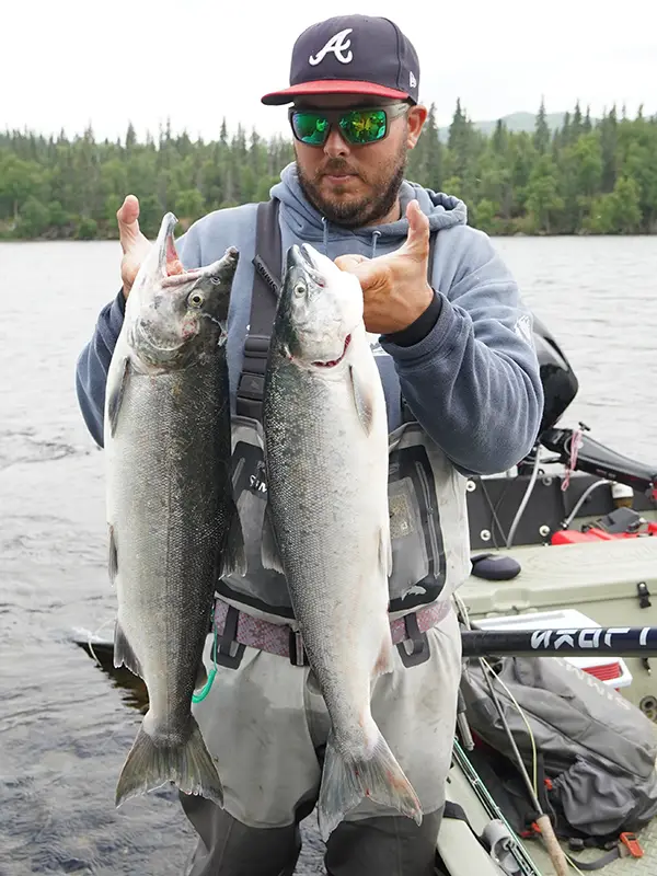 Alaska Sockeye salmon, Agulowak River