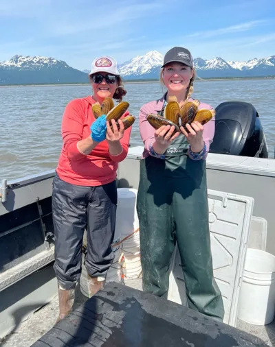 Alaska clamming 