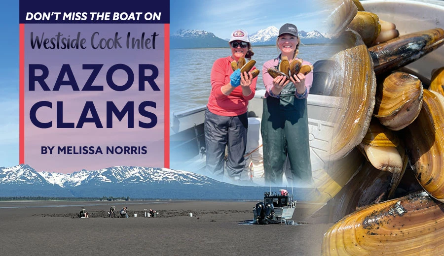 Alaska clamming
