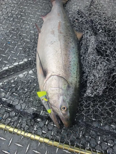 Alaska fishing gear