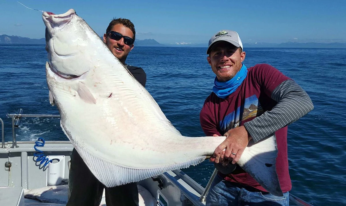 puffin fishing charters