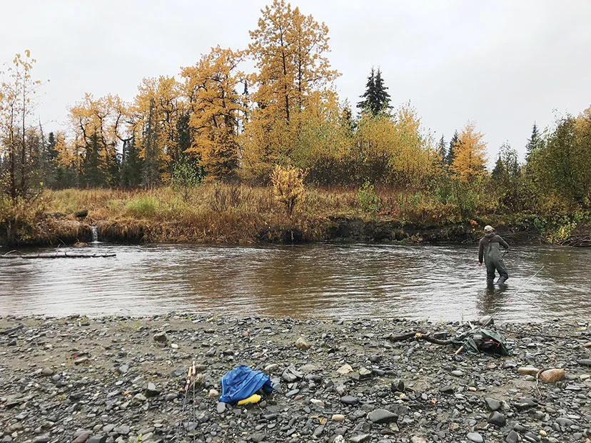 steelhead fishing Alaska