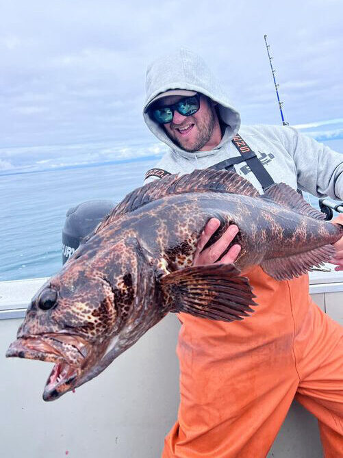 Alaska Lingcod