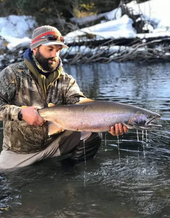 Alaska Steelhead, Situk River