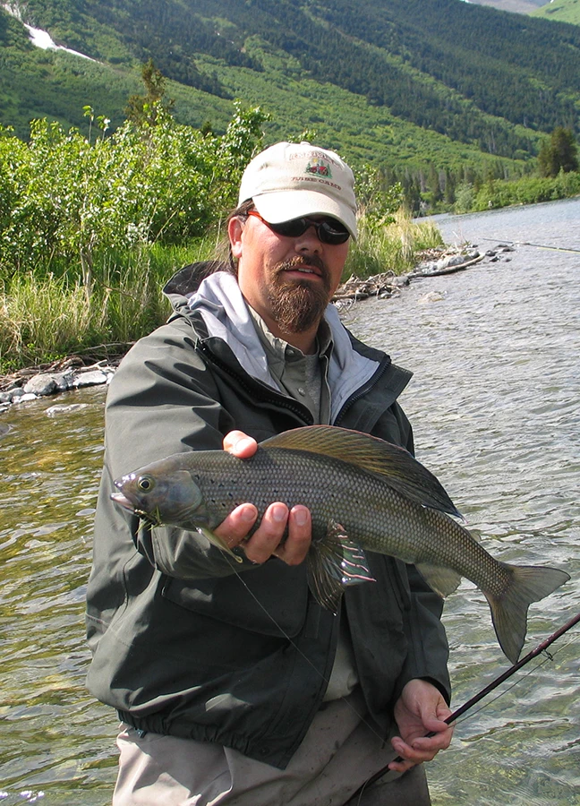 Arctic Grayling
