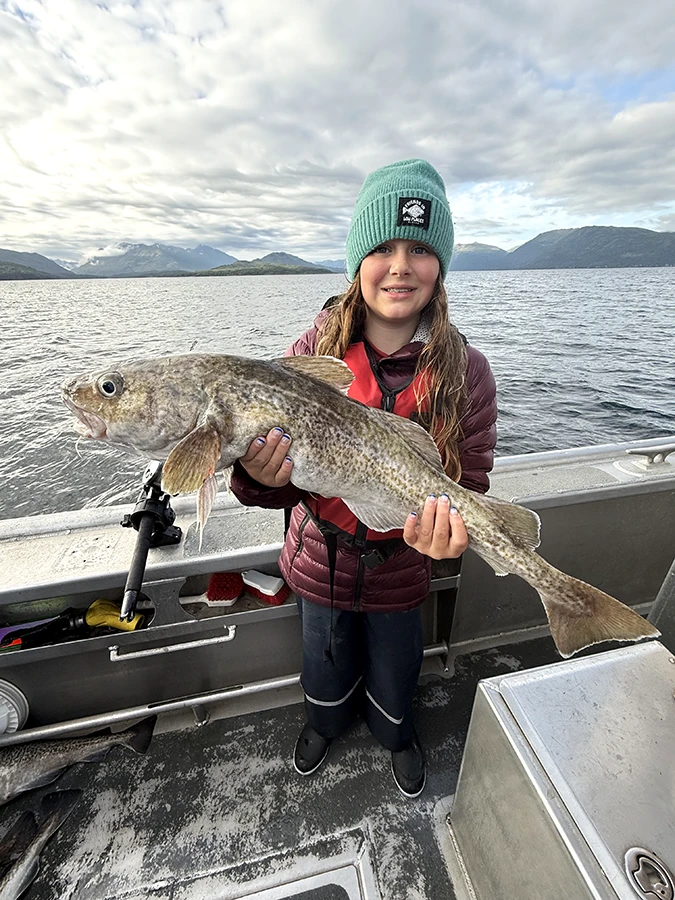 Alaska Pacific Cod