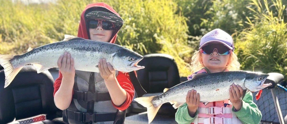 Kenai river sockeye count