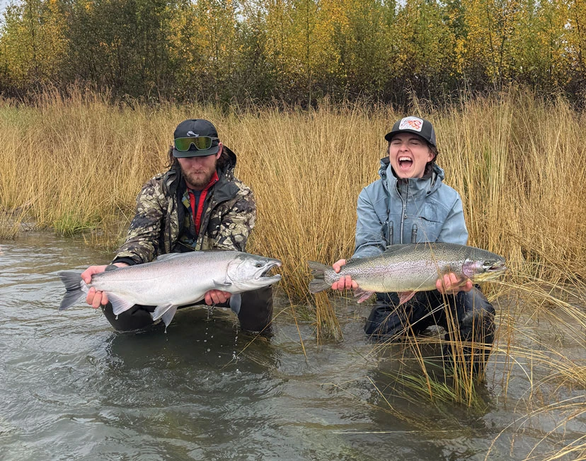 kenai river sockeye count