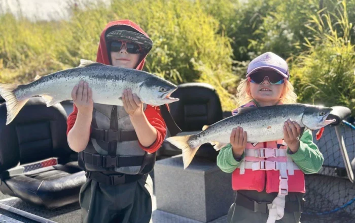 kenai river sockeye count