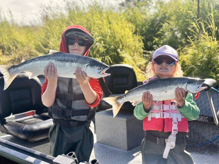 kenai river sockeye count