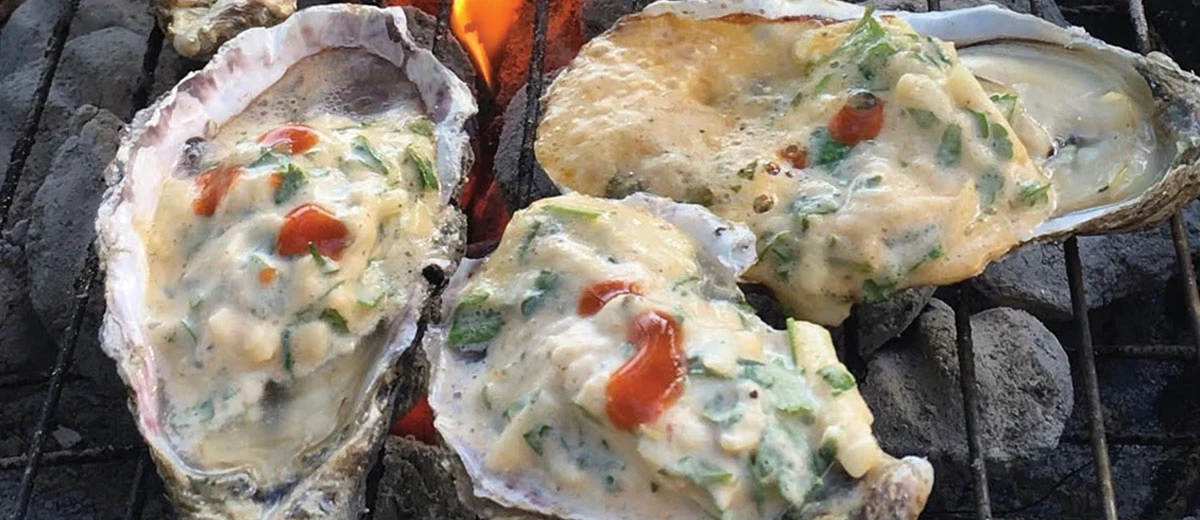 grilled oysters