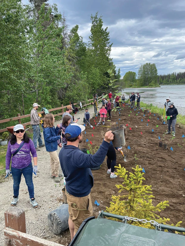 Plants for Salmon Kenai