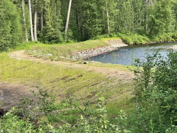 Plants for Salmon after