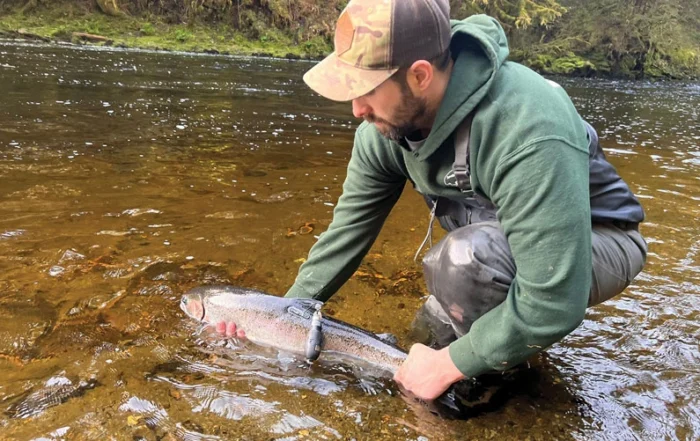 steelhead research