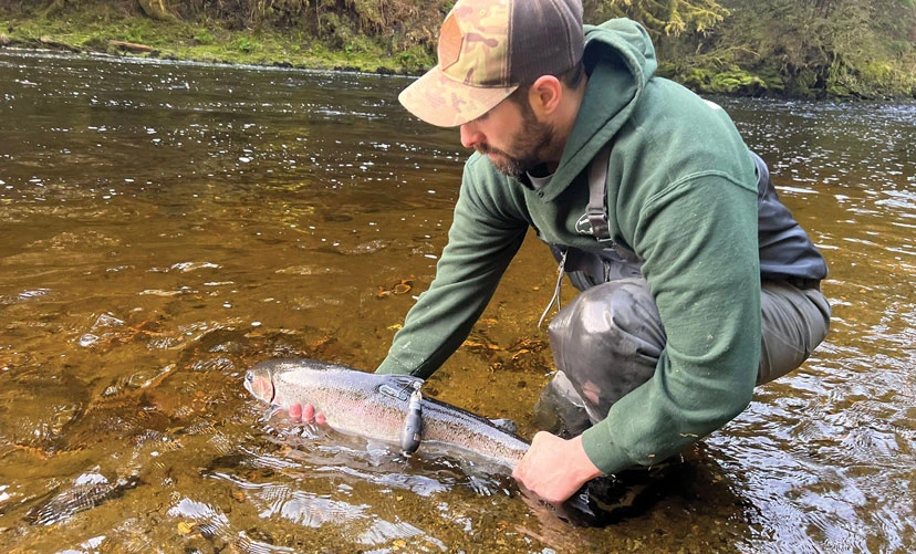steelhead research
