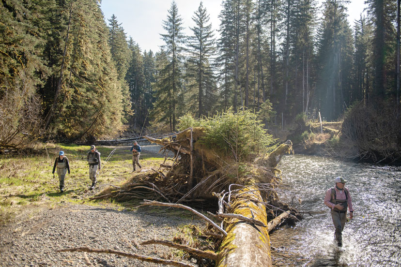 Healthy habitat Tongass