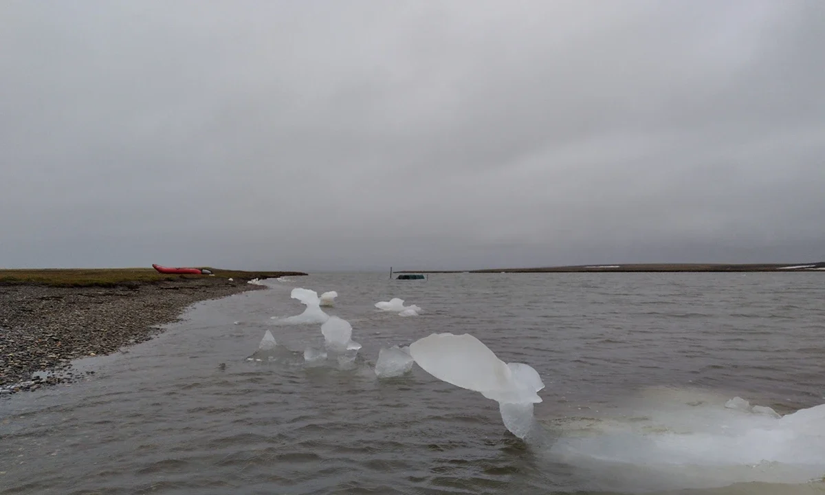 Alaska Coastal Lagoons Ice in Kotlik Lagoon