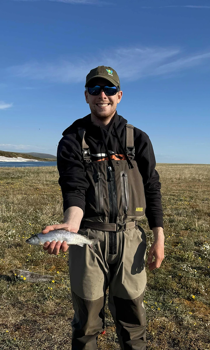 Alaska Coastal Lagoons Max_s Bering cisco