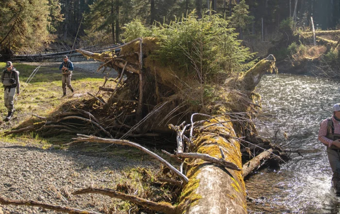 Tongass National Forest